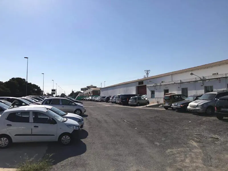 [P] Bernies Car Parking