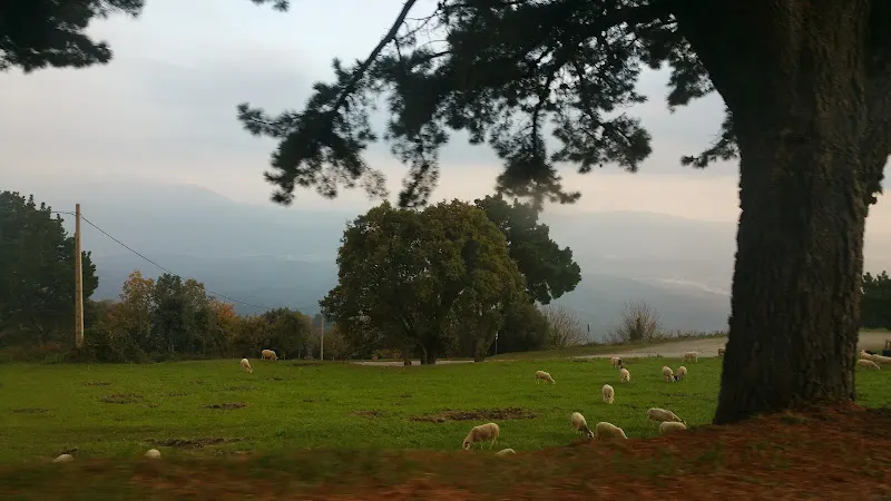Campins Pàrquing
