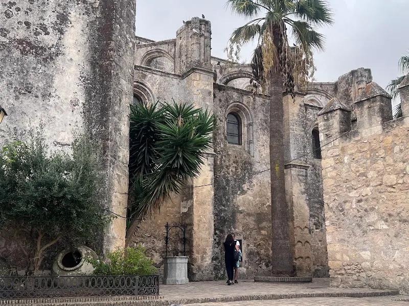 Parking Vejer