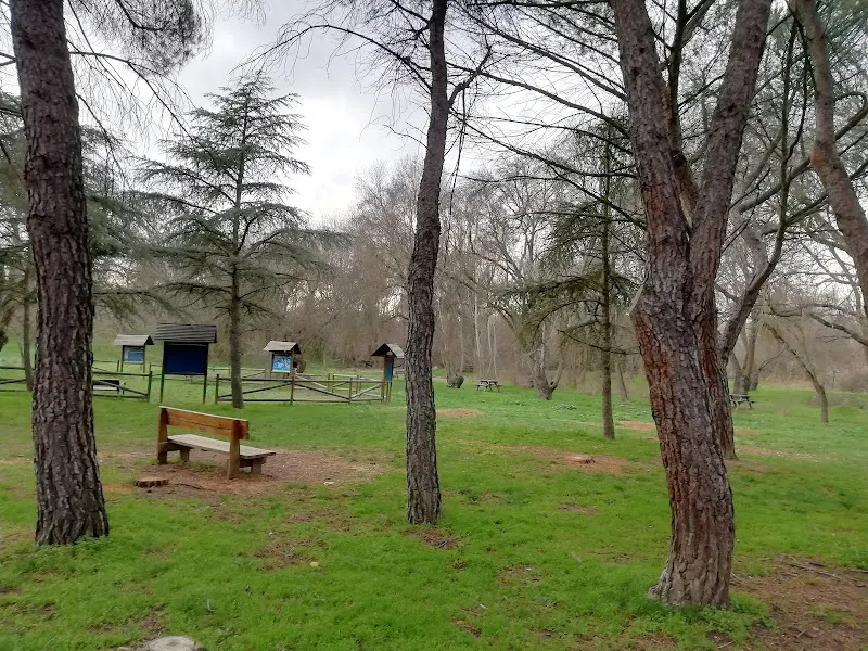 Aparcamiento 2 de Área Recreativa Dehesa Del Sotillo - Villaviciosa de Odón