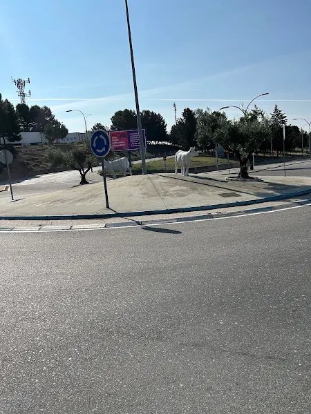 Truck Parking Mercamadrid