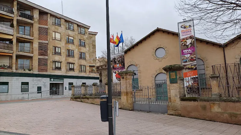 T Bus Salamanca, Casa Lis
