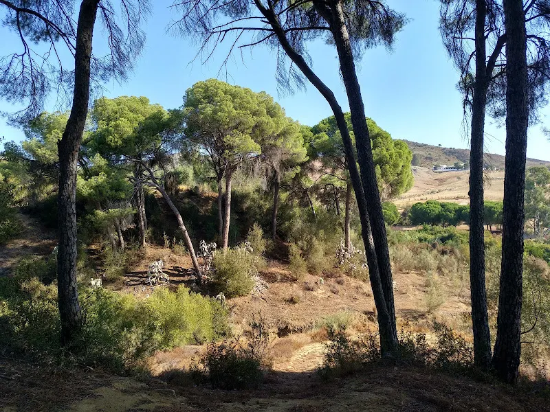 Aparcamiento - Villaverde del Rio