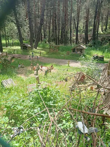 Area de Autocaravanas