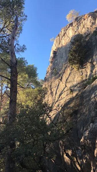Arbolí Parking Escalada