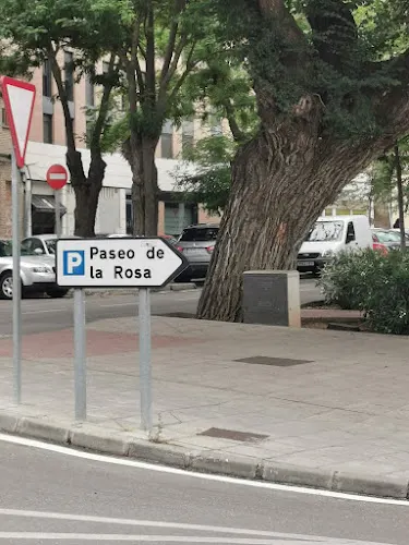 Parking Paseo de la Rosa