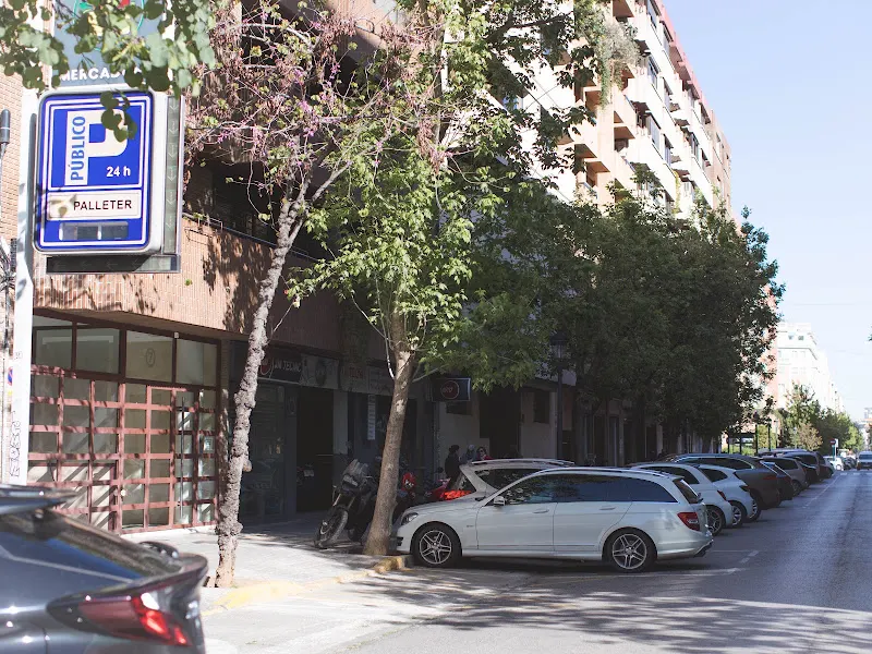 PARKING PUBLICO PALLETER 1