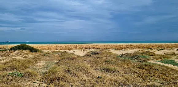 Aparcamiento Playa Garrofera