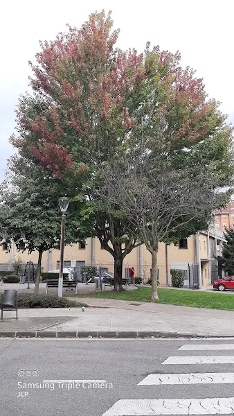 Zona de aparcamiento reservada para motos