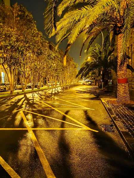 Aparcamiento Reservado para Vehículos Oficiales Presidencia del Gobierno de Canarias - Aparcamiento en Santa Cruz de Tenerife - foto 2