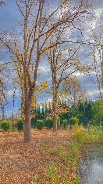Aparcamiento - Castellón de la Plana