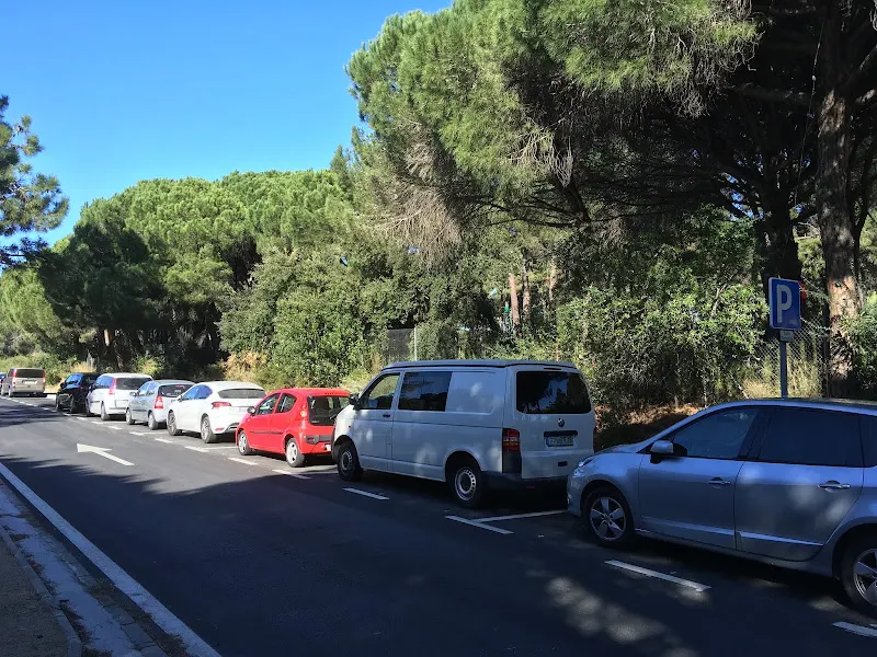 Parking Public