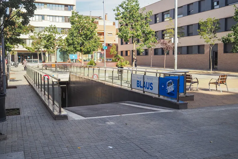 Pàrquings Blaus