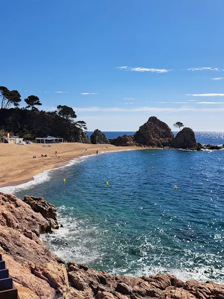 Club Vela Blanes - Aparcamiento en Blanes - foto 2