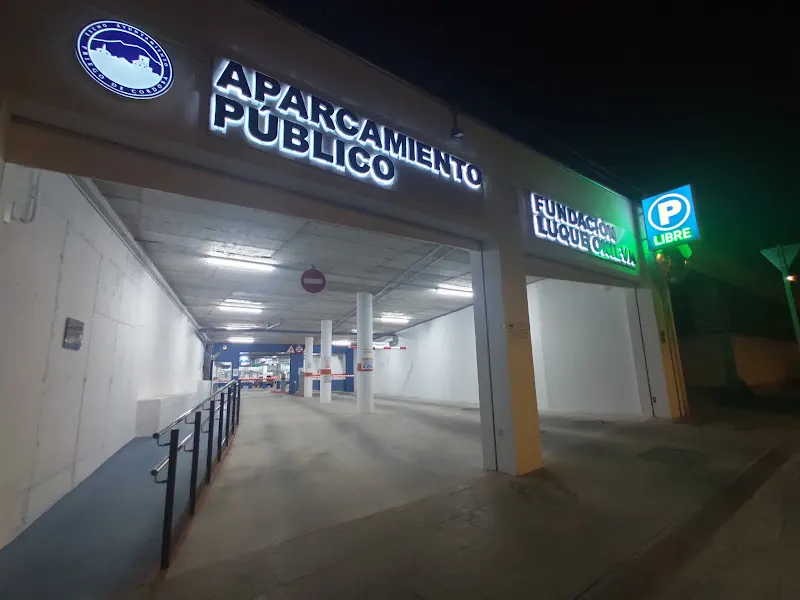 Parking IES Carmen Pantión