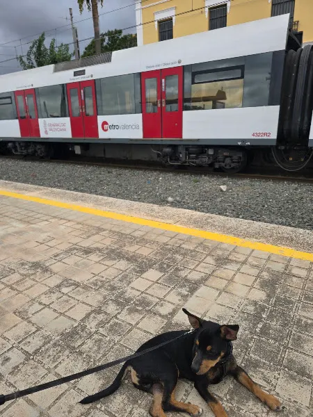 Estacionamiento + Metro - Liria - Llíria