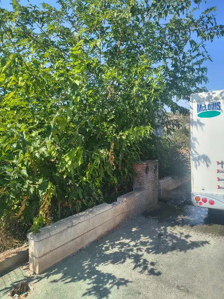 Area con servicios cambio aguas para Autocaravana