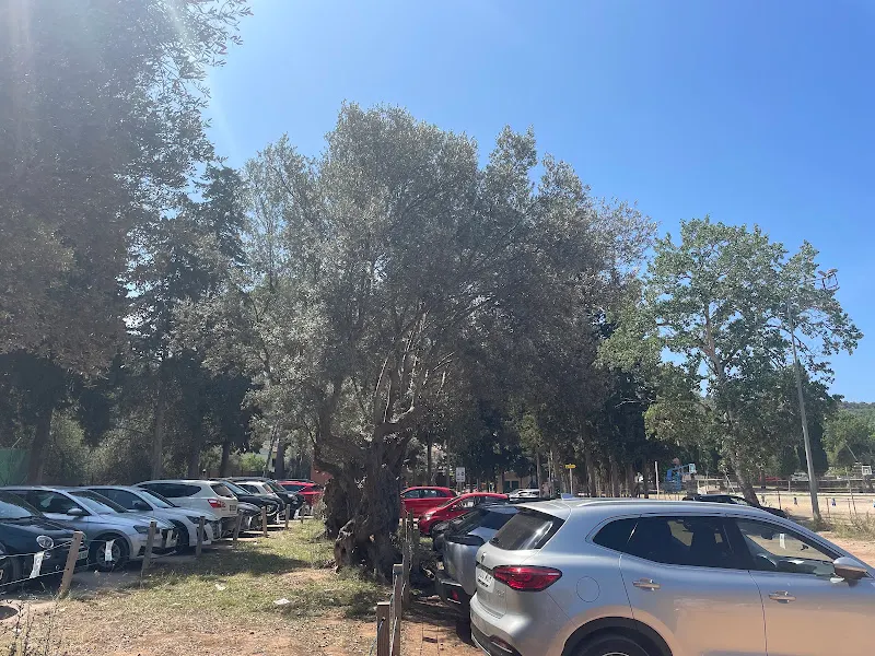 Park Municipal Parking - Sóller