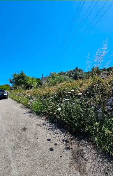 Street parking