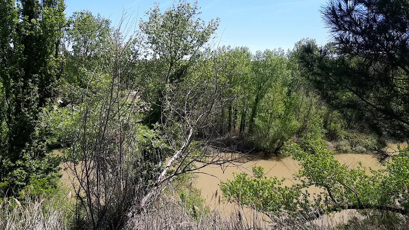 Área de Autocaravanas de Tudela de Duero - Tudela de Duero
