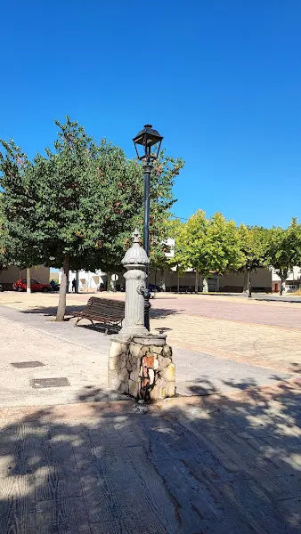Parque de los Carcelenes - Parque en Tobarra - foto 2