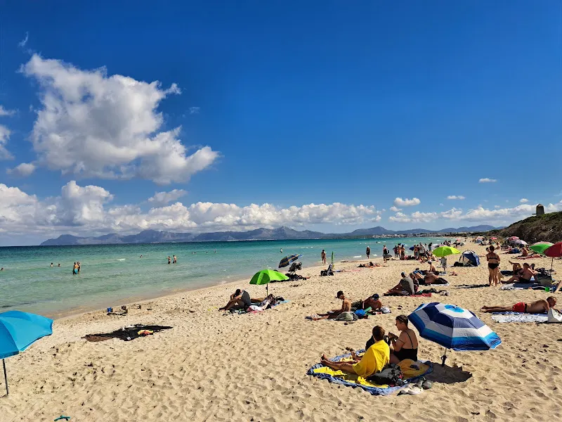 Pàrquing platja - Aparcamiento gratuito en Alcudia - foto 2