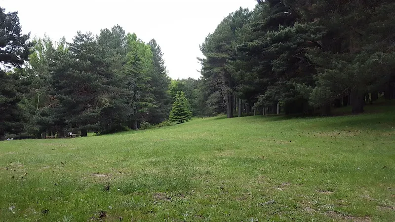 Aparcamiento Las Dehesas - Aparcamiento en Cercedilla - foto 3