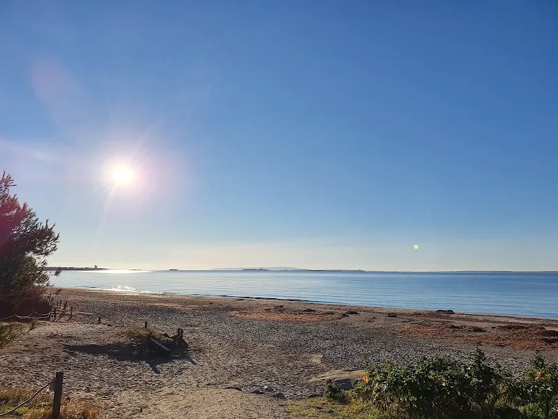 Dunasal - Aparcamiento Ses Salines - Aparcamiento en Eivissa - foto 2
