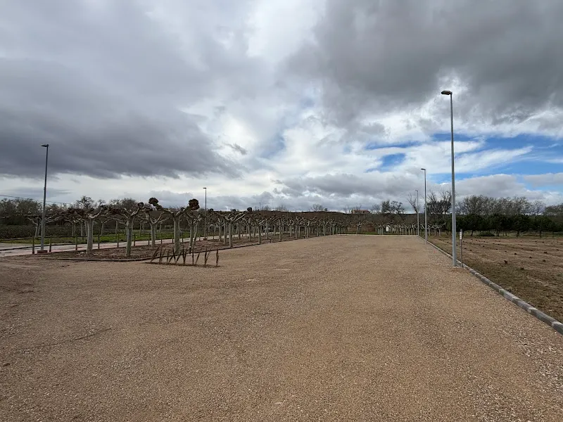 Parking autocaravanas Azagra - Aparcamiento gratuito en Azagra - foto 2