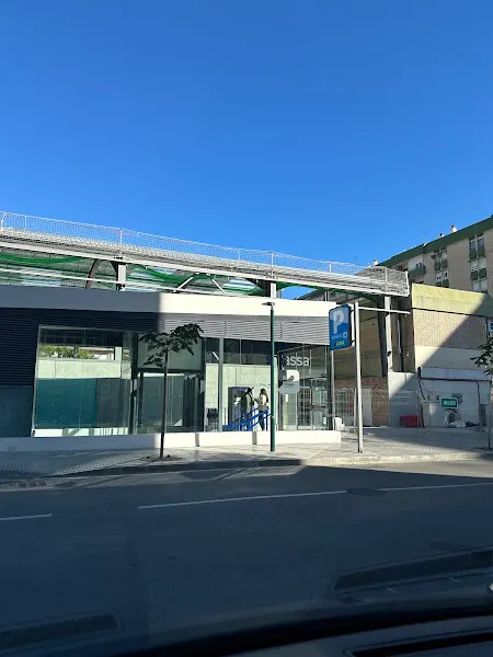 Parking Pío Baroja, El palo