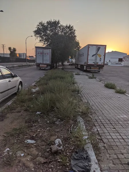 Aparcamiento camiones no vigilando - Guadalajara