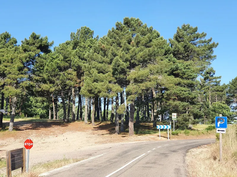 Aparcamiento de vehículos en Real de San Vicente (El)