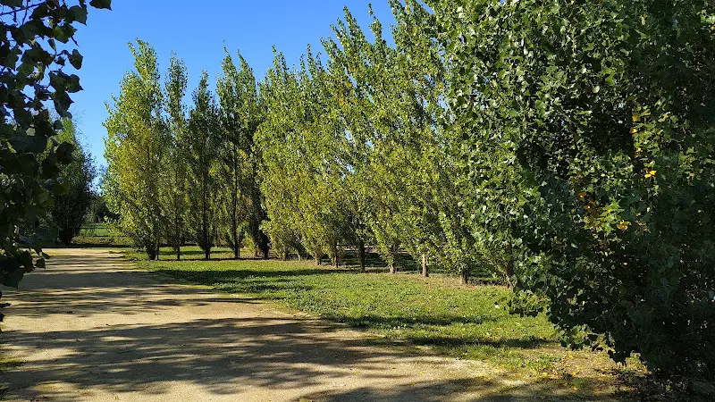 PÀRQUING CABOQUES - Aparcamiento público en Vilabertran - foto 2