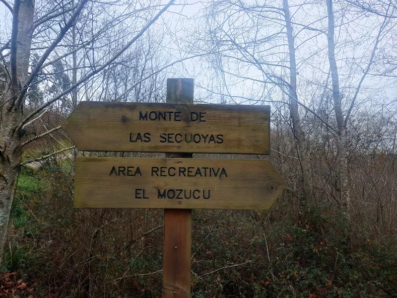 Aparcamiento Bosque de Secuoyas - Aparcamiento gratuito en Udias - foto 2
