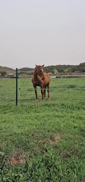 Aparcament de muntanya