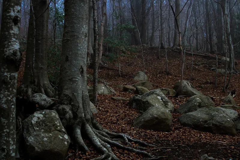 Parking de Santa Fe de Montseny