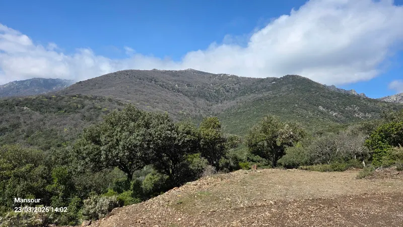 Aparcament - Aparcamiento gratuito en Jonquera (La) - foto 3