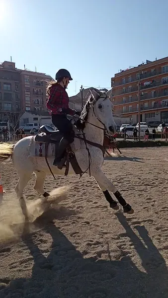 Parking - Aparcamiento gratuito en Solsona - foto 3