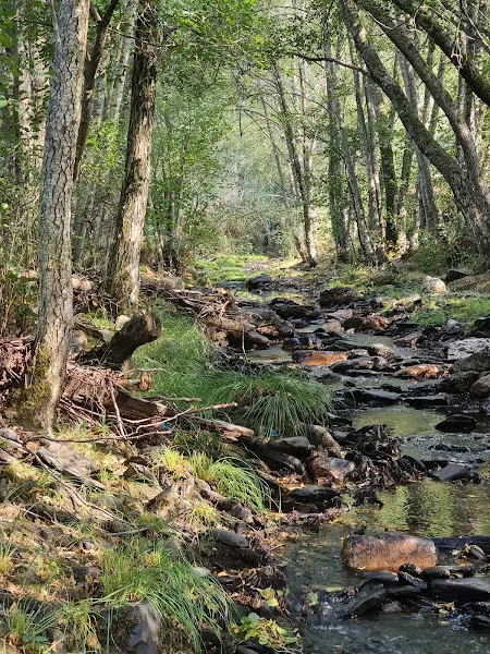 Aparcamiento de La Vereda - Aparcamiento gratuito en Campillo de Ranas - foto 2