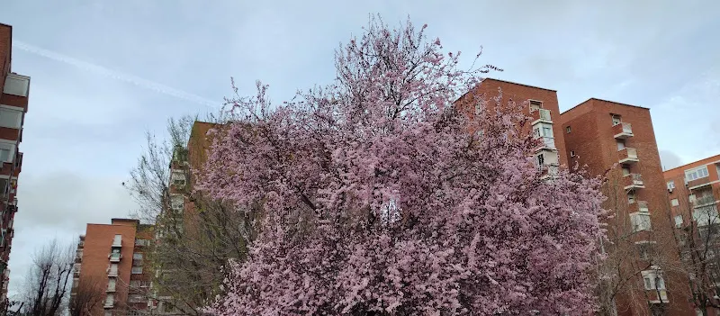 Aparcamiento
