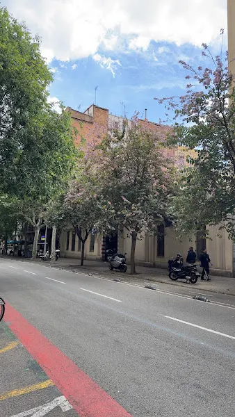 Parking pamem