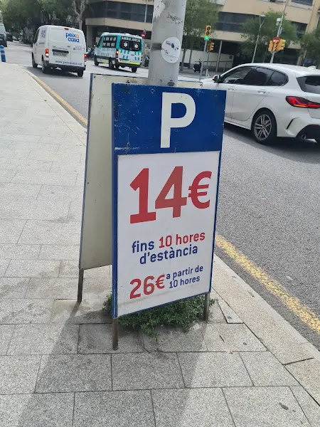 Parking Av. Roma 99