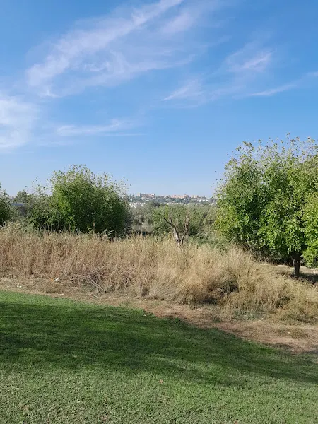 Ronda Triana - Sevilla