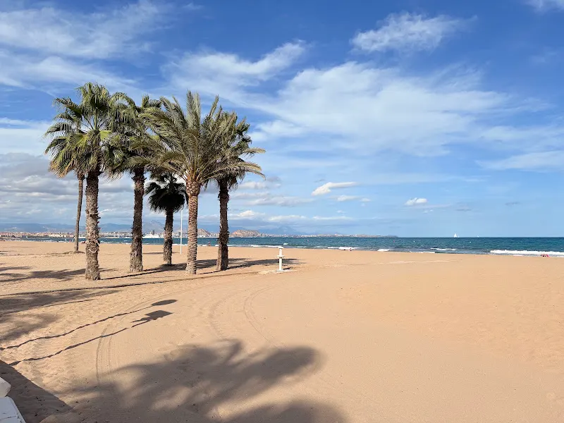 [P] ZONA URBANOVA - Alicante