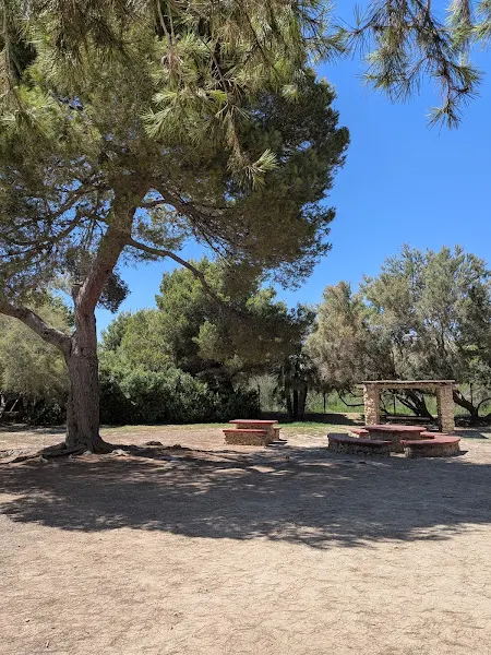 [P] Aparcamiento Clot de Galvany - Aparcamiento gratuito en Alicante - foto 2