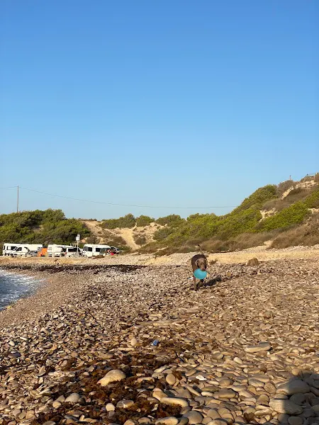 Playa El Xarco - Aparcamiento en Alicante - foto 3