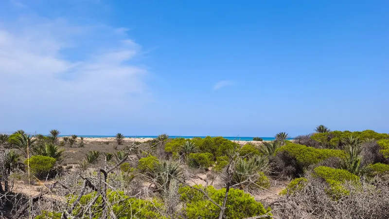 Playa Rebollo - Elche