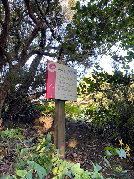 Aparcamiento Cruz del Carmen - Aparcamiento en San Cristóbal de La Laguna - foto 2