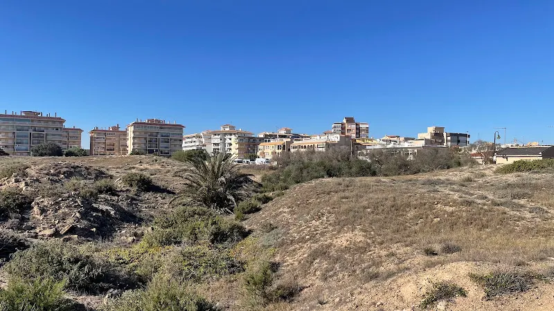 Aparcamiento Gratuito - Aparcamiento público en Torrevieja - foto 2