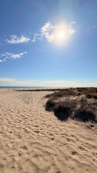 Parking - Playa de la Garrofera